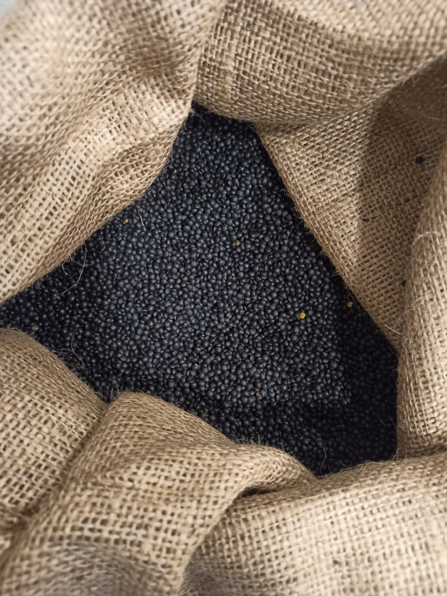 [15905] Llentia caviar granel 500g.