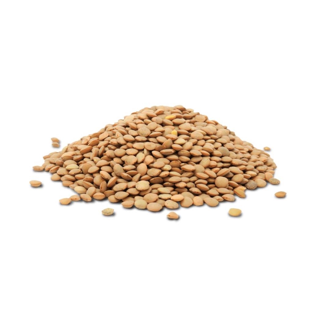 [16575] Llentia pardina granel 500g.