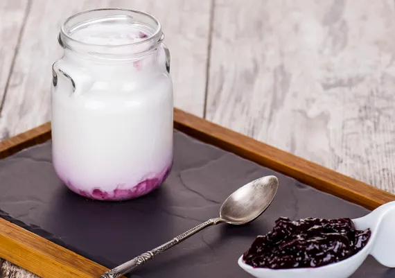 [16926] Iogurt 260gr Armengol