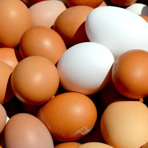 Ous Eco Eco-Pallareta 1/2 dotzena