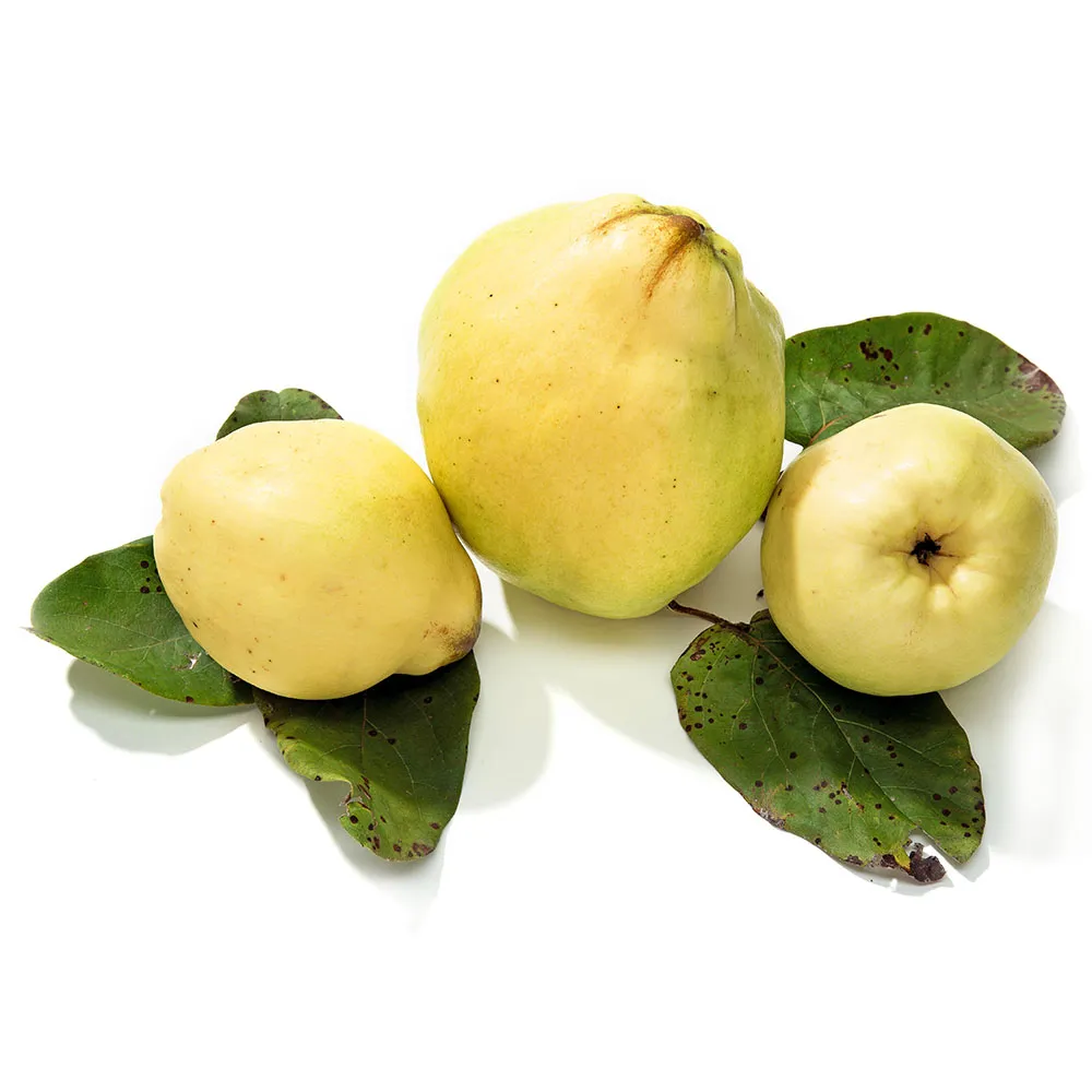 Codony 1Kg