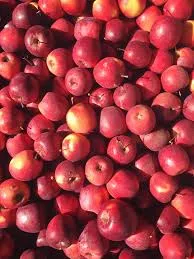 Poma Muntanya Eco Negreta 500g.