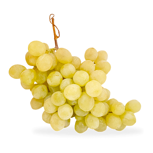 Raïm Blanc 500g.