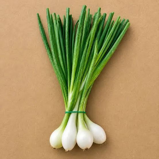 Ceba tendra manat