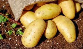 Patata Mona Lisa 1Kg