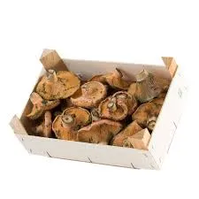 [16568] Rovellons frescos 100g.