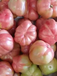 Tomàquet  Rosa  Montserrat 500g.