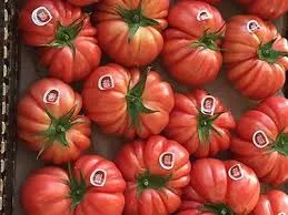 Tomàquet Monte Rosa 500g.